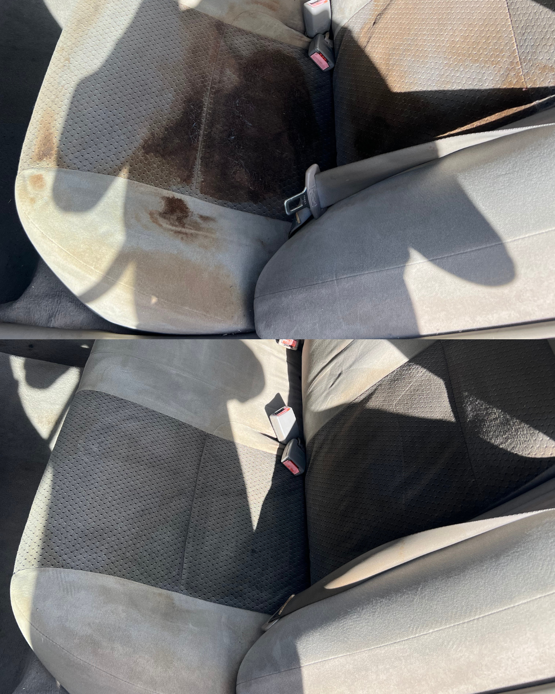 Bio Hazard Interior Detail